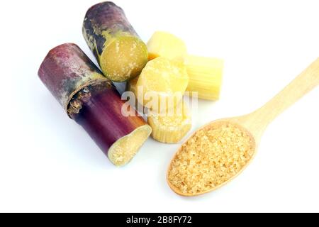 Zuckerrohr und Zucker, Zuckerrohr frisch, Zuckerrohr-Frischstücke, Zuckerrohr-Stücke geschnitten und Granulat Zucker auf Holzlöffel über weißem Grund, Zuckerrohr Stockfoto