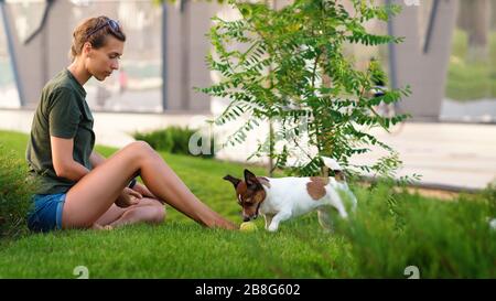 Attraktives Mädchen geht den Hund. Jack Russell Terrier. Spaß beim Spielen im Freien. Verspielte Stimmung. Freiheit genießen. Freunde zusammen. Freundschaftskonzepte, Haustiere, miteinander Stockfoto