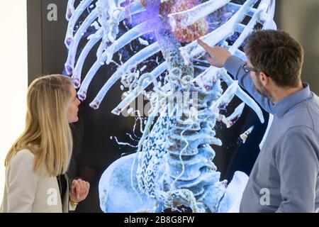 Erlangen, Deutschland. März 2020. Ein menschlicher Oberkörper wird im Museum für Medizintechnik "Siemens Healthineers MedMuseum" mit der 3D-Visualisierungstechnologie Cinematic Rendering gezeigt. Ein Professor experimentiert im Dunkeln in seinem Büro in Würzburg. Was Wilhelm Conrad Röntgen vor 125 Jahren entdeckte, revolutioniert die moderne Medizin. Heute reicht dieser Effekt ins All. (Zu dpa "EIN zufälliger Urzeit-Moment in der Medizin - 125 Jahre Röntgenstrahlen") Credit: Daniel Karmann / dpa / Alamy Live News Stockfoto