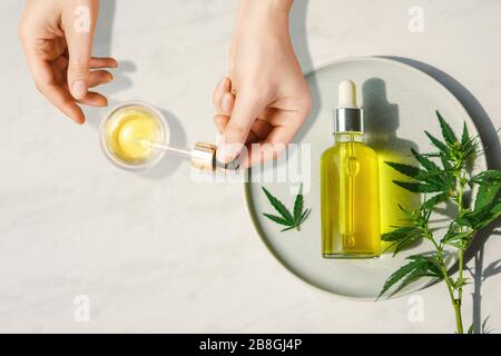 Pipettieren Sie mit kosmetischem CBD-Öl in weiblichen Händen auf einem Tischhintergrund mit einer Flasche Cannabisöl und Hanfblättern, Marihuana Stockfoto