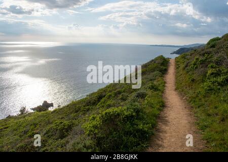 Muir Beach Overlook bietet einen ausgezeichneten Blick auf die Küste von Marin County, CA. Stockfoto
