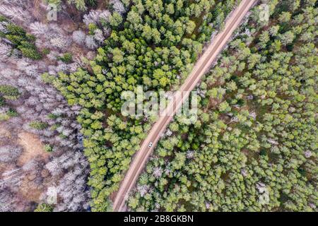 Landschaft im bewölkten Frühlingstag mit Quellwald und Feldweg. Luftbild mit Drohne Stockfoto