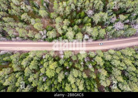 Schuttweg mitten im Grünwald, Frühlingssaison Landschaft, Vogelblick Stockfoto