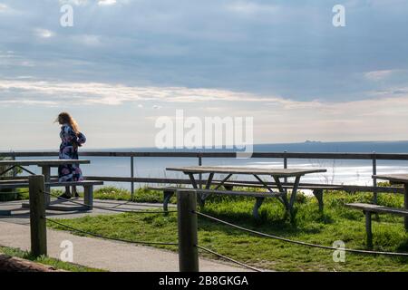 Muir Beach Overlook im Marin County, Kalifornien, ist ein großartiger Ort, um den Pazifischen Ozean und die Küste Kaliforniens zu sehen. Stockfoto