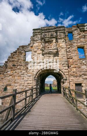 Zugbrücke, die zur Burgruine St. Andrews aus dem 13. Jahrhundert führt, eine beliebte Touristenattraktion in dieser berühmten Universitätsstadt St. Andrews, Schottland, Stockfoto