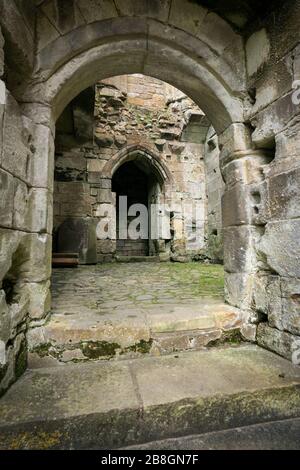 Ruinen des Königspalastes in der historischen Hauptstadt des Landes, Dunfermline, Fife, Schottland, Großbritannien Stockfoto