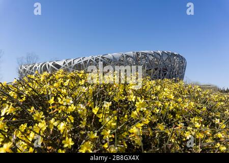 Bird's Nest International Stadium Stockfoto