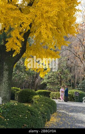 Kyoto Japan - 28. Novenber 2013 - Paar zu Fuß im Park Stockfoto