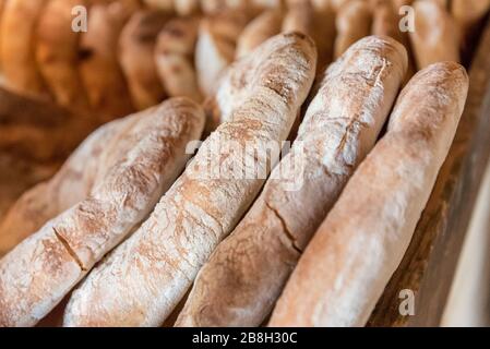 Traditionelles Maltesisches Brot Stockfoto