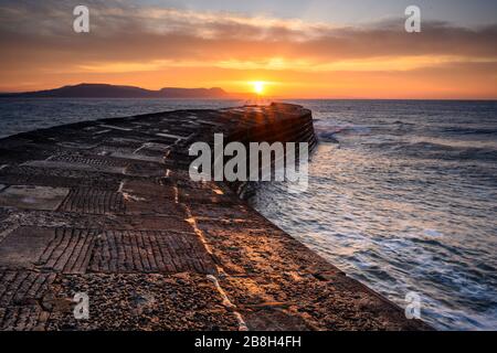 Lyme Regis, Dorset, Großbritannien. März 2020. Wetter in Großbritannien: Schöner Muttertag Sonnenaufgang im Cobb, Lyme Regis. Ein sonniger Tag wird prognostiziert, da sich der hohe Druck über Großbritannien bewegt. Kredit: Celia McMahon/Alamy Live News Stockfoto