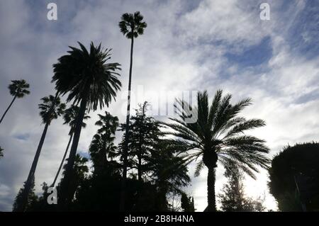 Beverly Hills, Kalifornien, USA 21. März 2020 EINE allgemeine Ansicht der Atmosphäre während des Ausbruchs des Coronavirus und Menschen üben soziale Distanzierung in Beverly Hills, Kalifornien, USA. Foto von Barry King/Alamy Stock Photo Stockfoto