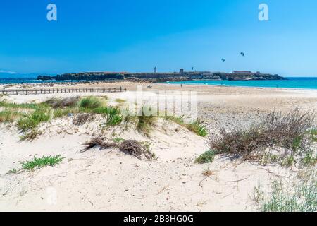 Kitesurfen an der Playa de los Lances, Tarifa, Cádiz, Provinz, Spanien, Europa Stockfoto