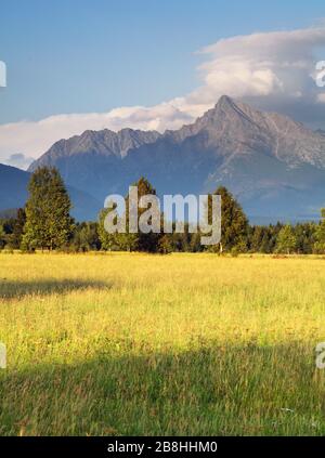 Slowakei Mount Krivan Stockfoto