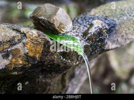 Detail eines Wassermerkmals im Garten von Hōnen-in, einem buddhistischen Tempel in Sakyō-ku, Kyoto, Japan. Stockfoto