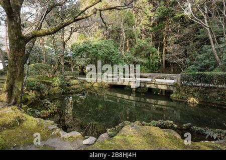 Der Teich in Hōnen-in, einem buddhistischen Tempel in Sakyō-ku, Kyoto, Japan. Stockfoto