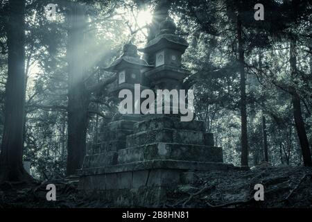 Sonnenlicht, das auf alten japanischen Steinlaternen auf dem Gelände des Kasuga Grand Shrine in Nara, Japan, scheint. Stockfoto