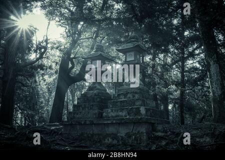 Sonnenlicht, das auf alten japanischen Steinlaternen auf dem Gelände des Kasuga Grand Shrine in Nara, Japan, scheint. Stockfoto