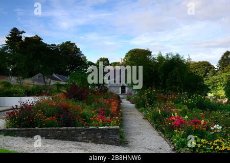 June Blake's Garden, Wicklow, Irland, Garten, Gärten, mehrjährige, Stauden, erhöhtes Bett, Betten, Grenze, Grenzen, gemischt, Kombination, Sommer, Haus, ikonisch, Juni Stockfoto