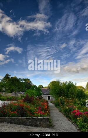 June Blake's Garden, Wicklow, Irland, Garten, Gärten, mehrjährige, Stauden, erhöhtes Bett, Betten, Grenze, Grenzen, gemischt, Kombination, Sommer, Haus, ikonisch, Juni Stockfoto