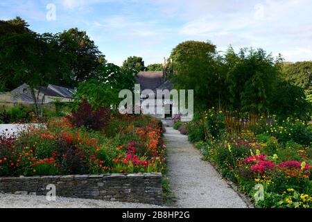 June Blake's Garden, Wicklow, Irland, Garten, Gärten, mehrjährige, Stauden, erhöhtes Bett, Betten, Grenze, Grenzen, gemischt, Kombination, Sommer, Haus, ikonisch, Juni Stockfoto