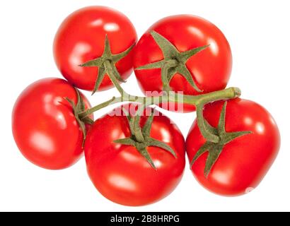Satz reifer und saftiger roter Tomaten. Er ist auf weißem Hintergrund isoliert Stockfoto