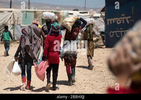 Kinderarbeiter, die Kartoffeln von einem Bauernhof kartieren, kommen zu ihrem Lager, einer informellen Einquartung am Stadtrand von Bar Elias im Bekaa-Tal, Libanon..S Stockfoto