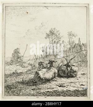 Ziegenbock und zwei Schaf (Dutuit 7) Karel Dujardin (1622-78). La Chèvre et les deux moutons (Dutuit 7). Eau-forte, 1653. Musée des Beaux-Arts de la Ville de Paris, Petit Palais. Stockfoto