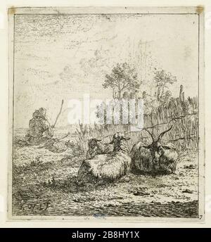 Ziegenbock und zwei Schaf (Dutuit 7) Karel Dujardin (1622-78). La Chèvre et les deux moutons (Dutuit 7). Eau-forte, 1652. Musée des Beaux-Arts de la Ville de Paris, Petit Palais. Stockfoto