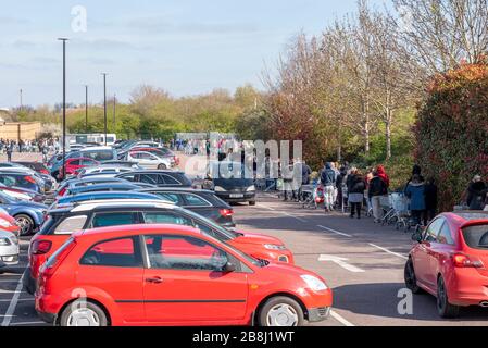 Southend on Sea, Essex, Großbritannien. März 2020. Tesco Extra auf der A127 Prince Avenue, Southend on Sea, hat eine große Anzahl von Käufern angezogen, die eine Warteschlange rund um den Parkplatz erstellt haben, als Reaktion auf die COVID-19 Coronavirus Pandemie. Das Sicherheitspersonal überprüft, ob die Käufer nur in der ersten Stunde des Handels zugelassen werden. Die Menschen stehen eng beieinander und denken wenig an soziale Distanzierung Stockfoto