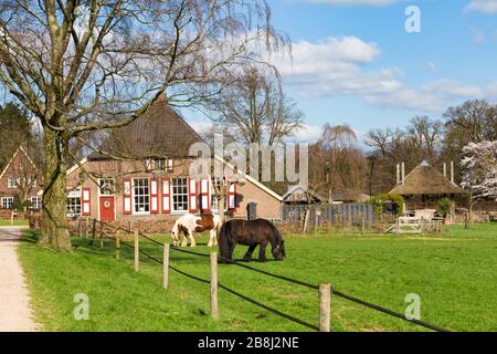 Arnhem, Niederlande, 21. März 2020: Holländischer Handelsbetrieb mit Pferden und Heuschuppen in der Region Gelerland in den Niederlanden im Frühjahr Stockfoto