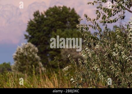 Strandlandschaft in der Lagune von Bibione Pineda an einem frühen septembertag, provinz venedig Stockfoto