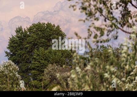 Strandlandschaft in der Lagune von Bibione Pineda an einem frühen septembertag, provinz venedig Stockfoto