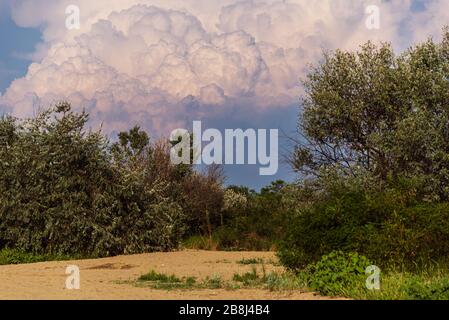 Strandlandschaft in der Lagune von Bibione Pineda an einem frühen septembertag, provinz venedig Stockfoto