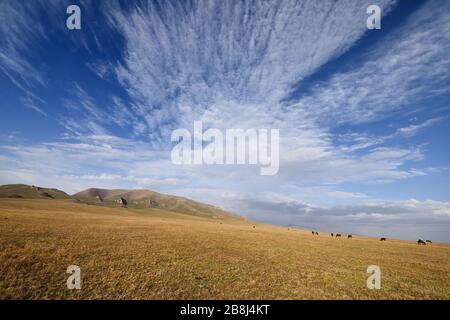 Der Magic Alpine Song Kul See liegt auf einer Höhe von 3016 m in Kirgisistan. Lakeside sind ein Ort der Weidehaltung von Pferden durch Kirgisen Einheimische Stockfoto