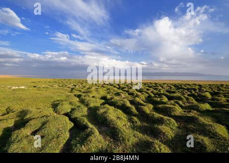 Der Magic Alpine Song Kul See liegt auf einer Höhe von 3016 m in Kirgisistan. Lakeside sind ein Ort der Weidehaltung von Pferden durch Kirgisen Einheimische Stockfoto