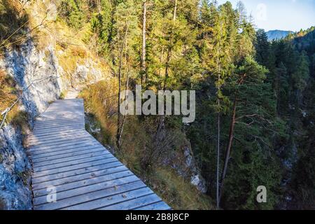 Die Almbachklamm in den bayerischen Alpen Stockfoto