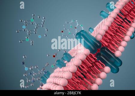 Zellmembran und Biologie, biologisches Konzept, 3D-Rendering. Digitale Zeichnung des Computers. Stockfoto