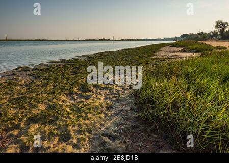 Strandlandschaft in der Lagune von Bibione Pineda an einem frühen septembertag, provinz venedig Stockfoto