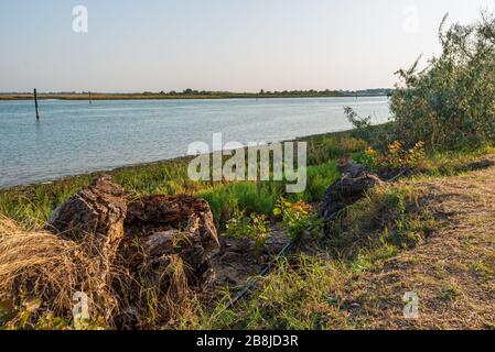 Strandlandschaft in der Lagune von Bibione Pineda an einem frühen septembertag, provinz venedig Stockfoto