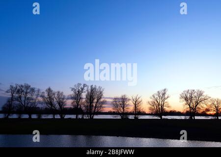 Silhouette von Bäumen am Ufer des Flusses afgedamde maas in den niederlanden Stockfoto