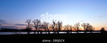 Silhouette von Bäumen am Ufer des Flusses afgedamde maas in den niederlanden Stockfoto