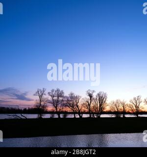 Silhouette von Bäumen am Ufer des Flusses afgedamde maas in den niederlanden Stockfoto