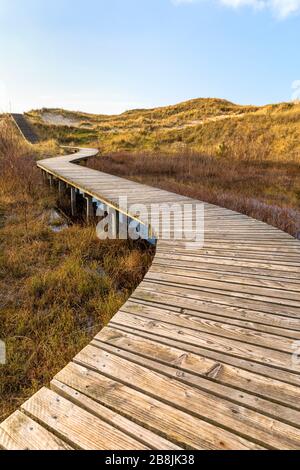 Holzweg, der durch Sumpf und Dünen zum Strand der deutschen Nordseeinsel Amrum führt Stockfoto