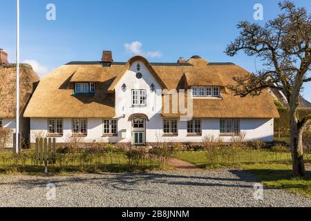 Traditionelles friesisches Haus mit neuem Reetdach bei der Ortschaft Nebel, deutsche Nordseeinsel Amrum Stockfoto