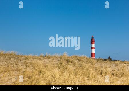 Leuchtturm von Amrum, Blick von den Dünen im Vordergrund, Möwen fliegen in blauem Himmel Stockfoto