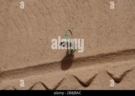 Riad - Riad/Saudi-Arabien - 07. März 2020: Blick auf den Murabba-Palast Qasr al Murabba ist ein historisches Gebäude Stockfoto