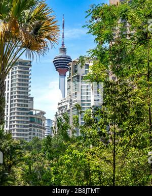 KL Tower ein Kommunikationsturm und Hochhäuser, die durch Bäume im KLCC Park Kuala Lumpur Malaysia gesehen werden. Stockfoto