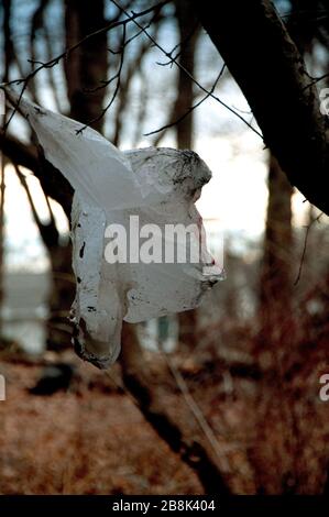 Plastiktüte, die am Baum hängt und im Wind weht Stockfoto