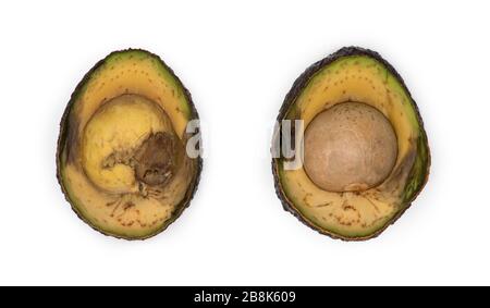 Avocado-Scheiben vor weißem Hintergrund absetzen Stockfoto