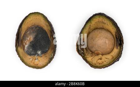 Avocado-Scheiben vor weißem Hintergrund absetzen Stockfoto
